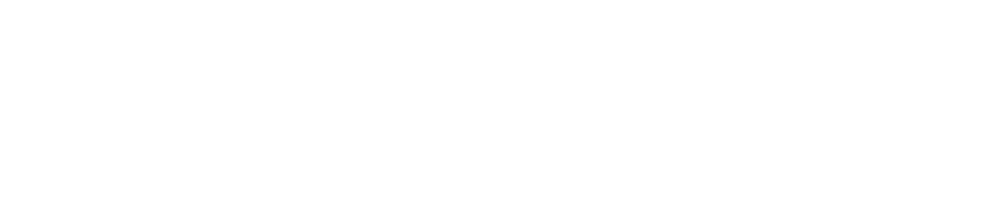 Tokenomy Logo